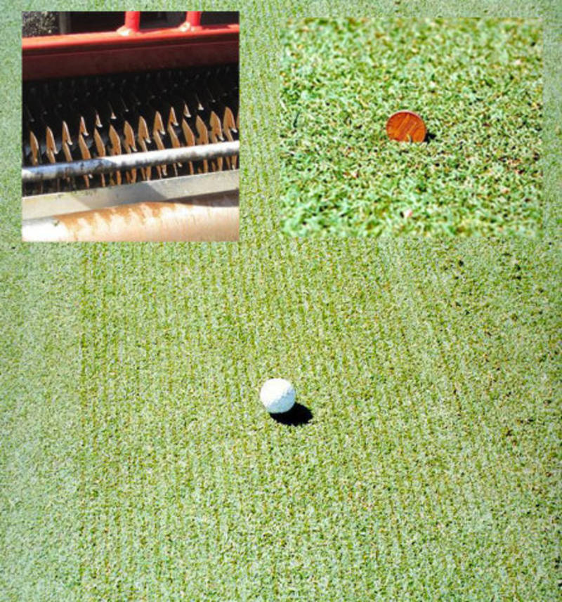 Golf de SaintMarc Les traitements